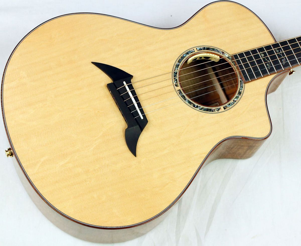 Breedlove masterclass concert new arrivals