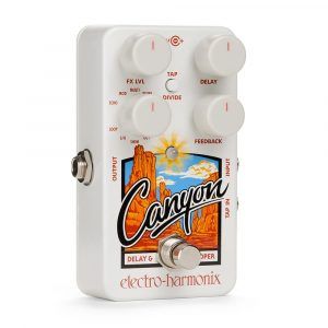 Electro-Harmonix Canyon Delay and Looper - Image 1