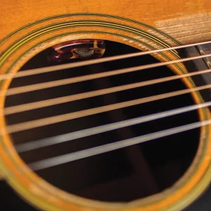 LR Baggs Lyric Acoustic Guitar Microphone w/Endpin Preamp & Volume Control - Image 3