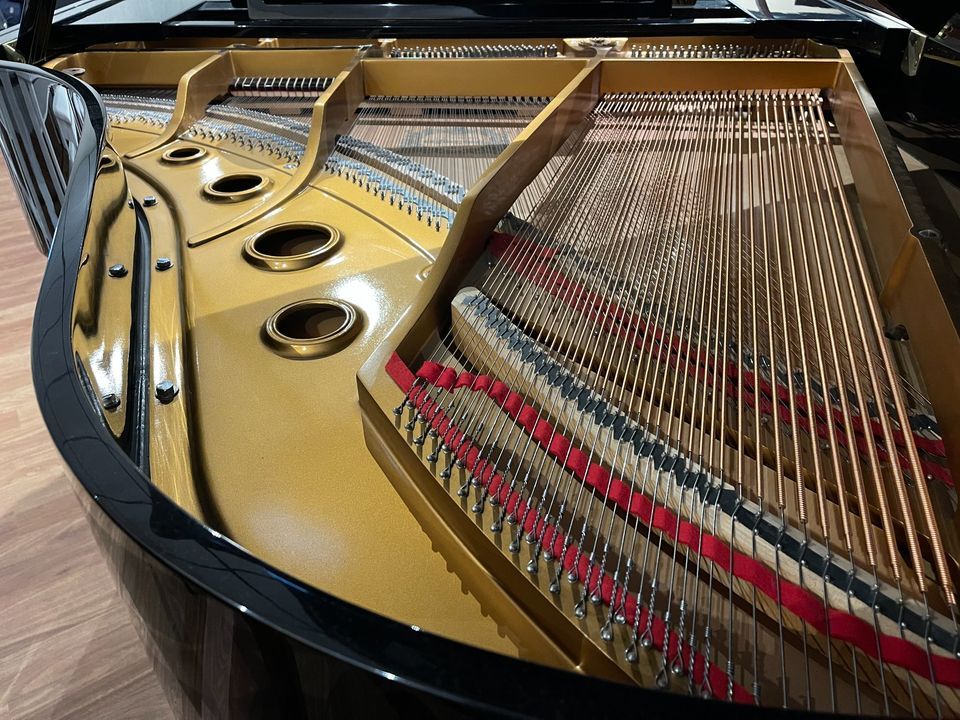 Young Chang G-175 USED