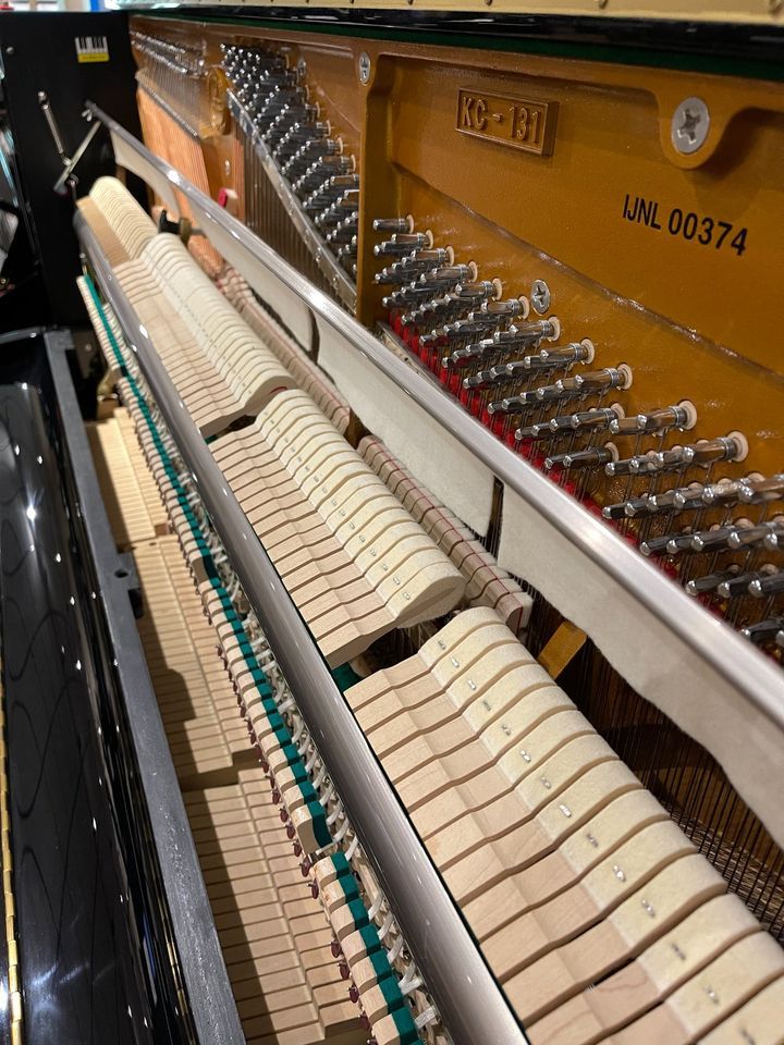 Kohler and Campbell Upright at BLUES ANGEL MUSIC in Pensacola