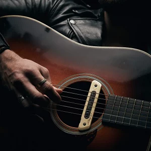 L.R. Baggs M80 Magnetic Soundhole Pickup - Image 3
