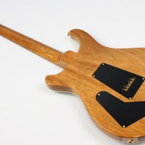 2024 PRS Special 10 Top Electric Guitar, Carroll Blue - Image 6