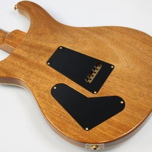 2024 PRS Special 10 Top Electric Guitar, Carroll Blue - Image 5