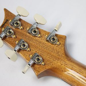 2024 PRS Special 10 Top Electric Guitar, Carroll Blue - Image 13