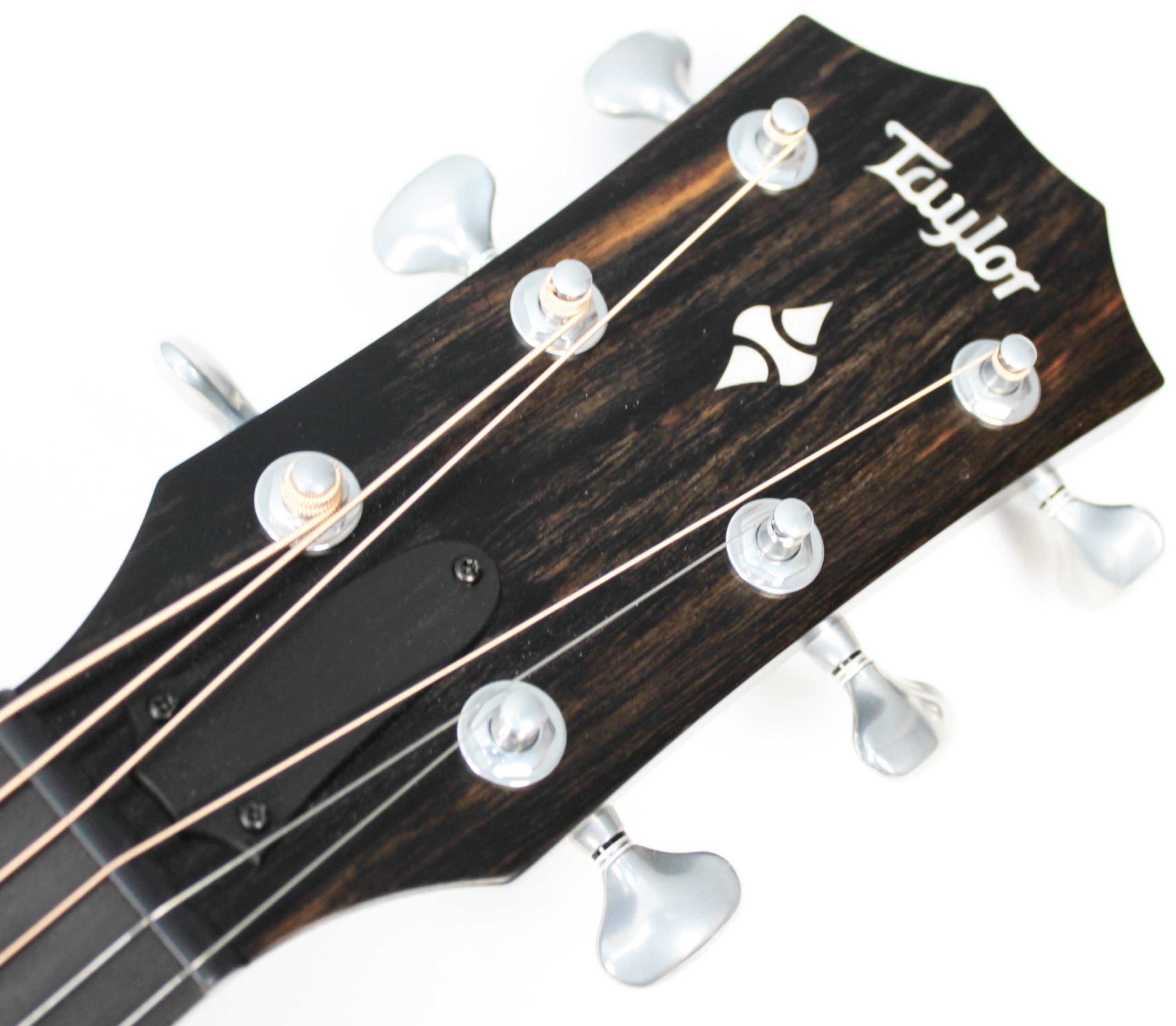 Taylor Builder’s Edition 514ce Tobacco Kona Burst acoustic-electric guitar headstock front