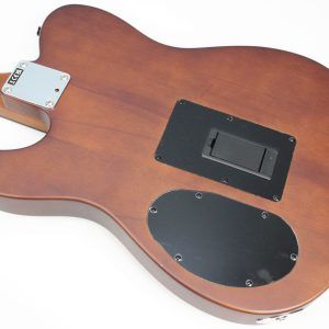 Fender Acoustasonic Standard Telecaster Honey Burst back of body natural