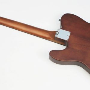 Fender Acoustasonic Standard Telecaster Honey Burst back of entire tele