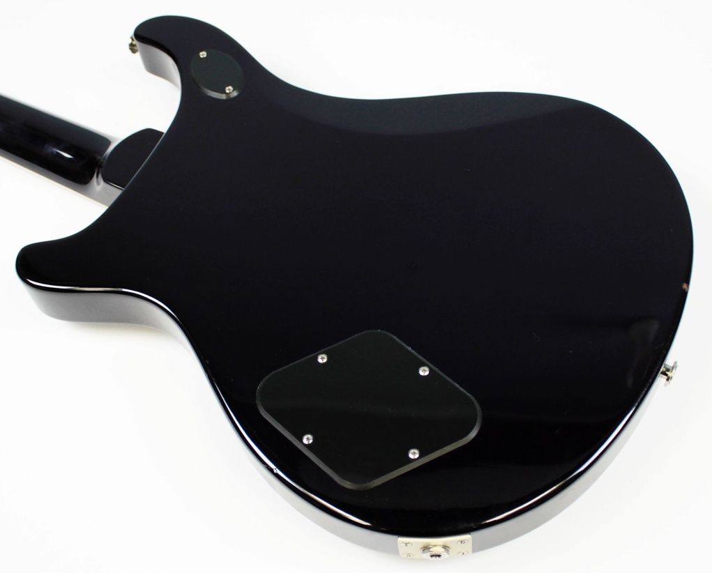 IMG_8367 McCarty 594 back of body