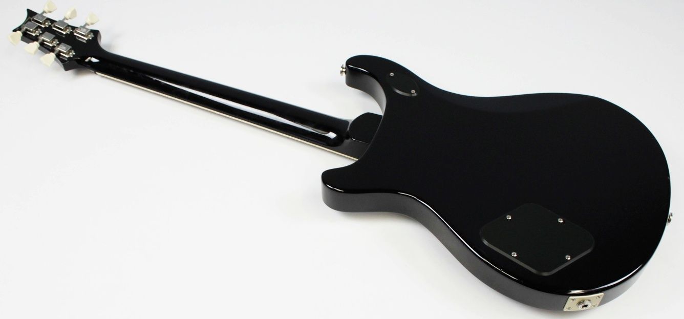 IMG_8387 PRS back of body entire shot