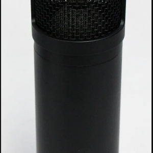 sE2200 microphone close-up of grille and capsule