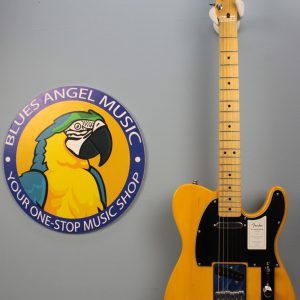 Fender Standard Telecaster Butterscotch Blonde maple fingerboard landing photo