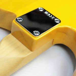 Fender Standard Telecaster Butterscotch Blonde maple fingerboard neck joint angled