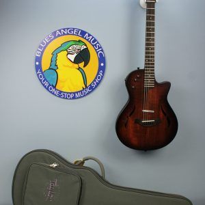 Taylor T5z Classic 2023 Natura gigbag included!
