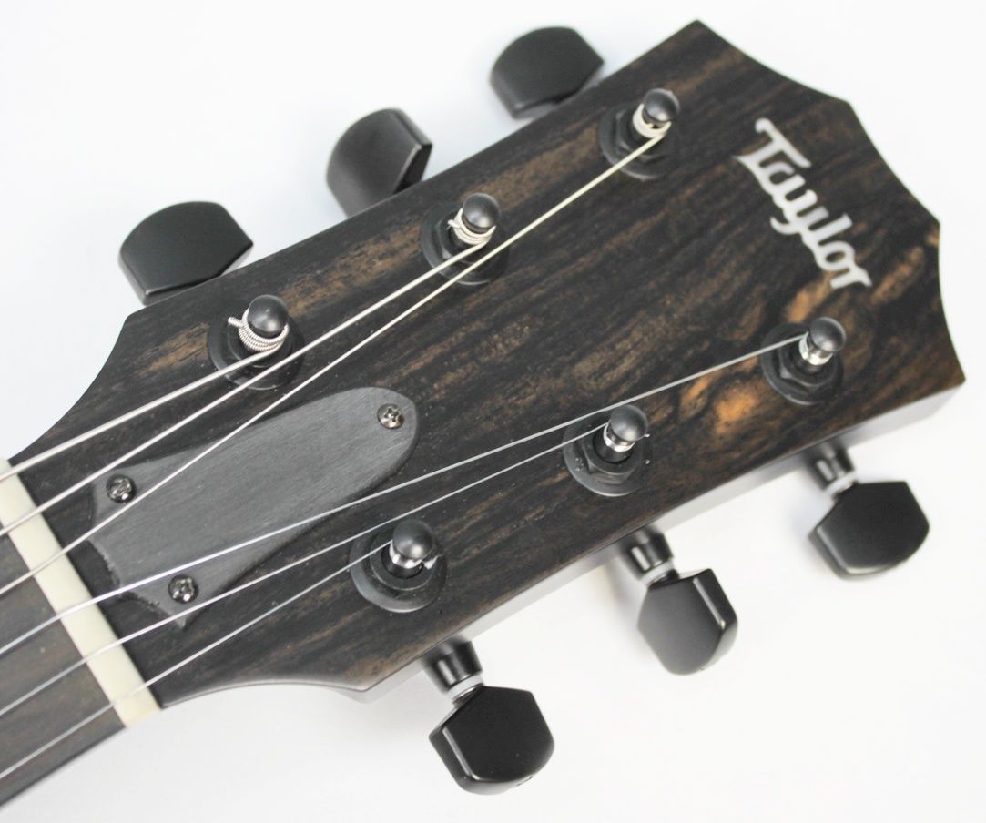 Taylor T5z Classic 2023 Natural front of headstock