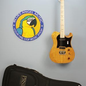 Includes gigbag
