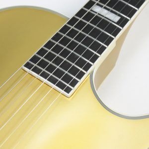 Epiphone Jared James Nichols Blues Power Les Paul Custom Gold ebony fretboard