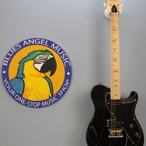 PRS SE NF 53 2025 - Present - Black Doghair landing photo