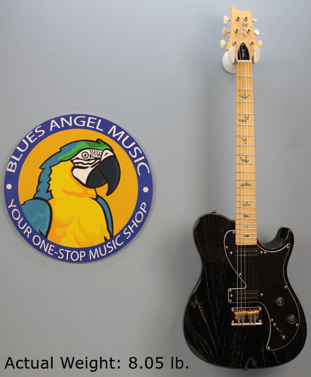 PRS SE NF 53 2025 - Present - Black Doghair landing photo