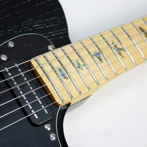 PRS SE NF 53 2025 - Present - Black Doghair front of maple neck with abalone bird inlays