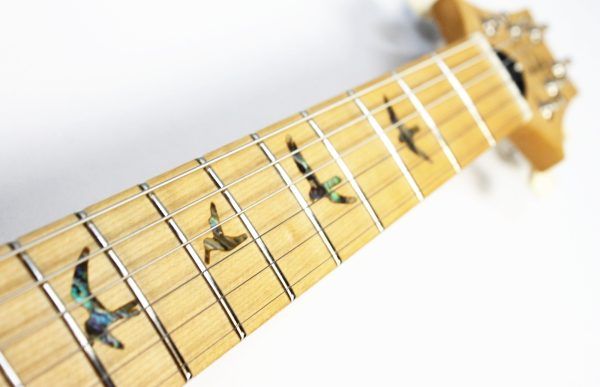 PRS SE NF 53 2025 - Present - Black Doghair fingerboard maple