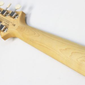 PRS SE NF 53 2025 - Present - Black Doghair back of maple neck