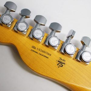 Fender, American Ultra Luxe, Vintage '60s Telecaster, Telecaster Custom, Lake Placid Blue, electric guitar, USA made, alder body, rosewood fingerboard, Pure Vintage '63 pickups, nitro lacquer, Heirloom lacquer, double bound Telecaster, modern D neck, compound radius, stainless steel frets, locking tuners, S-1 switching, premium Fender Telecaster, boutique Tele tone, vintage style Tele, modern playability, Fender USA, Telecaster electric guitar, 2025 Fender, Lake Placid Blue Tele, custom Telecaster, high end Telecaster, Corona California, 22 fret Telecaster, Fender Ultra Luxe, mint green pickguard, bound body Tele, professional guitar, collectible Fender, Telecaster custom shop inspired, classic Tele tone, contemporary Telecaster, Fender guitar, electric guitar, blues guitar, rock guitar, country guitar, studio guitar, stage guitar