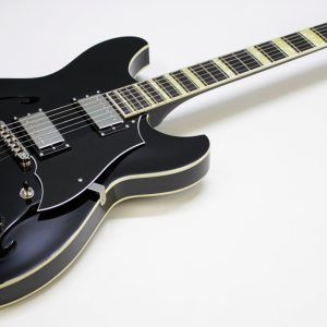 Rivolta Regata VII, Rivolta Guitars, Regata VII, Toro Black, 2021 Rivolta, semi-hollow guitar, electric guitar, offset guitar, dual humbuckers, Brevetto humbuckers, ebony fretboard, mahogany neck, maple body, center block guitar, set neck, 24 frets, boutique guitar, retro style guitar, Korean made guitar, nickel hardware, Tune-O-Matic bridge, stoptail tailpiece, black finish, Rivolta Mondata, Dennis Fano design, Fano inspired guitar, modern vintage guitar, alternative rock guitar, indie guitar, blues guitar, jazz guitar, collectible guitar, premium electric guitar