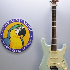 Fender American Professional Limited Edition Rosewood Neck Stratocaster 2017 - Daphne Blue **Upgraded Pickups** main photo