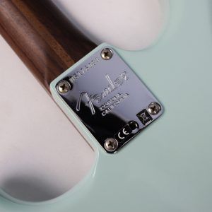 Fender American Professional Limited Edition Rosewood Neck Stratocaster 2017 - Daphne Blue **Upgraded Pickups** back plate
