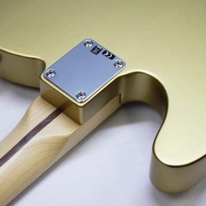 Fender, Fender Telecaster, Fender American Special, American Special Telecaster, Fender FSR, FSR Telecaster, Factory Special Run, Fender USA, USA Telecaster, American Made Telecaster, 2017 Fender, 2017 Telecaster, Aztec Gold, Aztec Gold Telecaster, Matching Headstock, Matching Headstock Telecaster, Gold Telecaster, Maple Fretboard, Maple Fingerboard, Maple Neck, Texas Special Pickups, Texas Special Telecaster, Fender Texas Special, Telecaster Guitar, Electric Guitar, Fender Electric Guitar, Single Coil Guitar, SS Pickup Configuration, Alder Body, 22 Fret Telecaster, Jumbo Frets, Greasebucket Tone Circuit, Vintage Style Telecaster, Rare Fender, Limited Edition Fender, FSR Fender Guitar