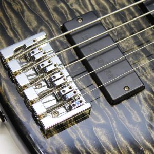 Modulus Quantum V, Modulus Quantum 5, Modulus Q5, 2004 Modulus Quantum V, Modulus Bass, Modulus 5 String Bass, 5 String Bass, Five String Bass, Graphite Neck Bass, Modulus Graphite Neck, Graphite Bass, Quilted Maple Bass, Quilted Maple Top, Silver Burst Bass, Silverburst Bass, Quilted Silver Burst, Bartolini Pickups, Bartolini Bass Pickups, Active Bass, Active Electronics, USA Bass, Made in USA, 2000s Bass, Boutique Bass, High End Bass, Professional Bass, Extended Scale Bass, 35 Inch Scale, Modulus Quantum Bass