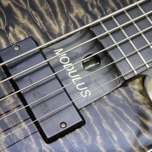 Modulus Quantum V, Modulus Quantum 5, Modulus Q5, 2004 Modulus Quantum V, Modulus Bass, Modulus 5 String Bass, 5 String Bass, Five String Bass, Graphite Neck Bass, Modulus Graphite Neck, Graphite Bass, Quilted Maple Bass, Quilted Maple Top, Silver Burst Bass, Silverburst Bass, Quilted Silver Burst, Bartolini Pickups, Bartolini Bass Pickups, Active Bass, Active Electronics, USA Bass, Made in USA, 2000s Bass, Boutique Bass, High End Bass, Professional Bass, Extended Scale Bass, 35 Inch Scale, Modulus Quantum Bass