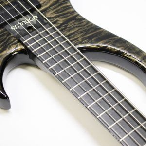 Modulus Quantum V, Modulus Quantum 5, Modulus Q5, 2004 Modulus Quantum V, Modulus Bass, Modulus 5 String Bass, 5 String Bass, Five String Bass, Graphite Neck Bass, Modulus Graphite Neck, Graphite Bass, Quilted Maple Bass, Quilted Maple Top, Silver Burst Bass, Silverburst Bass, Quilted Silver Burst, Bartolini Pickups, Bartolini Bass Pickups, Active Bass, Active Electronics, USA Bass, Made in USA, 2000s Bass, Boutique Bass, High End Bass, Professional Bass, Extended Scale Bass, 35 Inch Scale, Modulus Quantum Bass