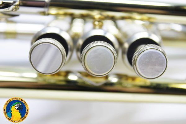 Bach Stradivarius 239 Elkhart Professional C Trumpet - Early 90s **Original Case Included**